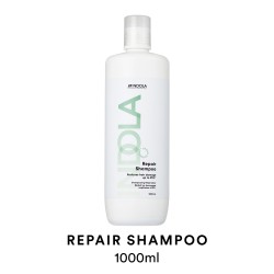 Indola Repair Shampoo 1000ml